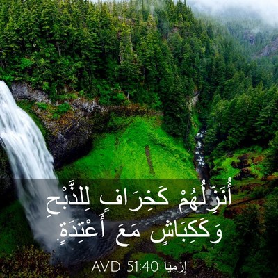 Picture 03 - إِرْمِيَا 51:40 AVD - أُنَزِّلُهُمْ كَخِرَافٍ - Bible Verse Picture