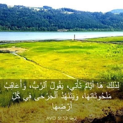 Picture 03 - إِرْمِيَا 51:52 AVD - لِذَلِكَ هَا أَيَّامٌ - Bible Verse Picture