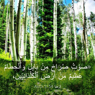 Picture 03 - إِرْمِيَا 51:54 AVD - «صَوْتُ صُرَاخٍ مِنْ - Bible Verse Picture