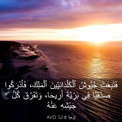 Picture 03 - إِرْمِيَا 52:8 AVD - فَتَبِعَتْ جُيُوشُ - Bible Verse Picture