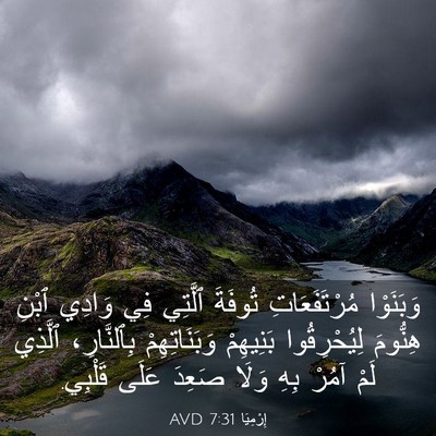 Picture 03 - إِرْمِيَا 7:31 AVD - وَبَنَوْا مُرْتَفَعَاتِ - Bible Verse Picture