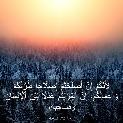 Picture 03 - إِرْمِيَا 7:5 AVD - لِأَنَّكُمْ إِنْ - Bible Verse Picture