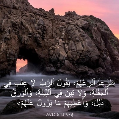 Picture 03 - إِرْمِيَا 8:13 AVD - «نَزْعًا أَنْزِعُهُمْ، - Bible Verse Picture