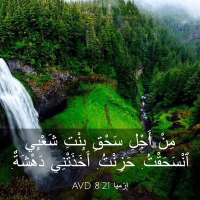 Picture 03 - إِرْمِيَا 8:21 AVD - مِنْ أَجْلِ سَحْقِ بِنْتِ - Bible Verse Picture