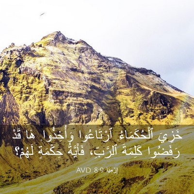 Picture 03 - إِرْمِيَا 8:9 AVD - خَزِيَ ٱلْحُكَمَاءُ. - Bible Verse Picture