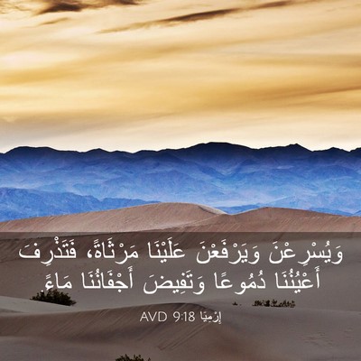 Picture 03 - إِرْمِيَا 9:18 AVD - وَيُسْرِعْنَ وَيَرْفَعْنَ - Bible Verse Picture