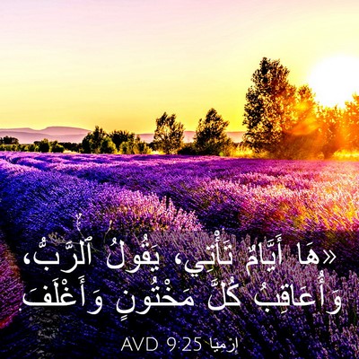 Picture 03 - إِرْمِيَا 9:25 AVD - «هَا أَيَّامٌ تَأْتِي، - Bible Verse Picture