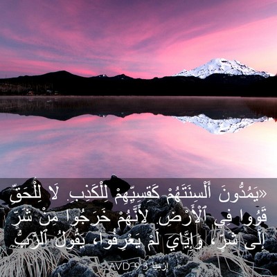 Picture 03 - إِرْمِيَا 9:3 AVD - «يَمُدُّونَ - Bible Verse Picture