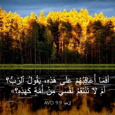 Picture 03 - إِرْمِيَا 9:9 AVD - أَفَمَا أُعَاقِبُهُمْ - Bible Verse Picture