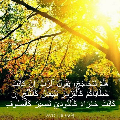Picture 03 - إِشَعْيَاءَ 1:18 AVD - هَلُمَّ نَتَحَاجَجْ، - Bible Verse Picture