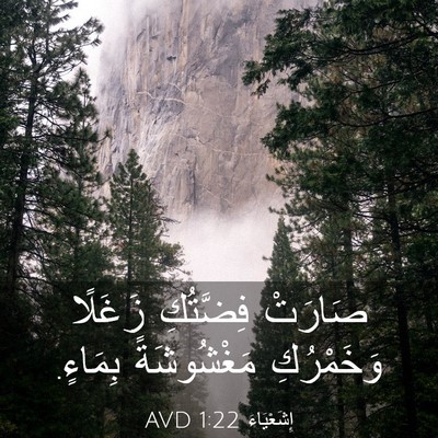 Picture 03 - إِشَعْيَاءَ 1:22 AVD - صَارَتْ فِضَّتُكِ زَغَلًا - Bible Verse Picture