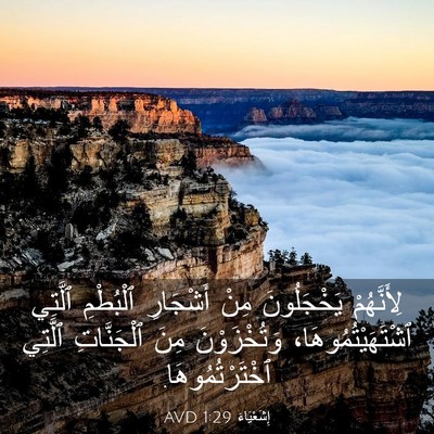Picture 03 - إِشَعْيَاءَ 1:29 AVD - لِأَنَّهُمْ يَخْجَلُونَ - Bible Verse Picture