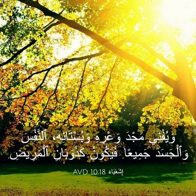 Picture 03 - إِشَعْيَاءَ 10:18 AVD - وَيُفْنِي مَجْدَ وَعْرِهِ - Bible Verse Picture