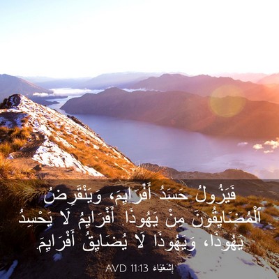 Picture 03 - إِشَعْيَاءَ 11:13 AVD - فَيَزُولُ حَسَدُ - Bible Verse Picture