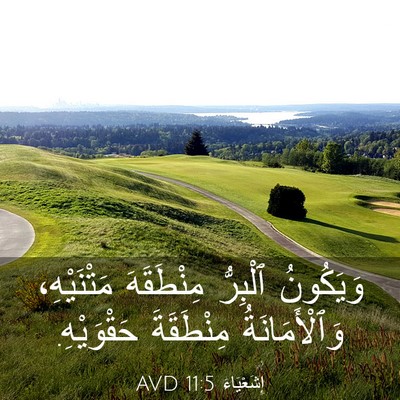 Picture 03 - إِشَعْيَاءَ 11:5 AVD - وَيَكُونُ ٱلْبِرُّ - Bible Verse Picture