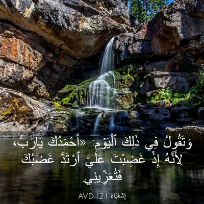 Picture 03 - إِشَعْيَاءَ 12:1 AVD - وَتَقُولُ فِي ذَلِكَ - Bible Verse Picture