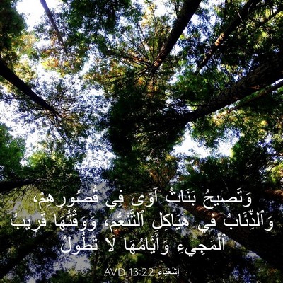Picture 03 - إِشَعْيَاءَ 13:22 AVD - وَتَصِيحُ بَنَاتُ آوَى فِي - Bible Verse Picture