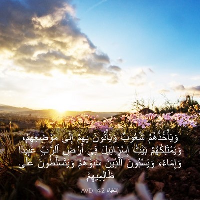Picture 03 - إِشَعْيَاءَ 14:2 AVD - وَيَأْخُذُهُمْ شُعُوبٌ - Bible Verse Picture