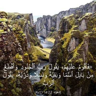 Picture 03 - إِشَعْيَاءَ 14:22 AVD - «فَأَقُومُ عَلَيْهِمْ، - Bible Verse Picture
