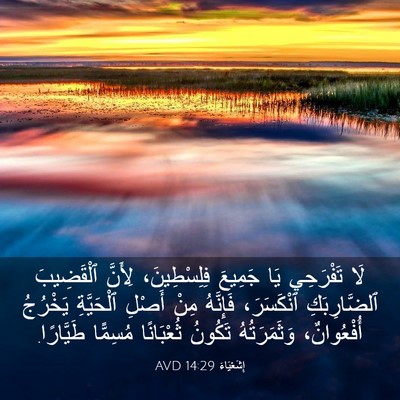 Picture 03 - إِشَعْيَاءَ 14:29 AVD - لَا تَفْرَحِي يَا جَمِيعَ - Bible Verse Picture