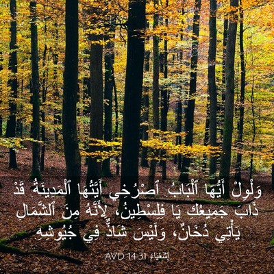 Picture 03 - إِشَعْيَاءَ 14:31 AVD - وَلْوِلْ أَيُّهَا - Bible Verse Picture