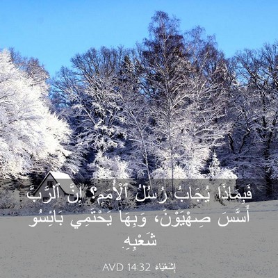 Picture 03 - إِشَعْيَاءَ 14:32 AVD - فَبِمَاذَا يُجَابُ رُسُلُ - Bible Verse Picture