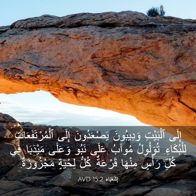 Picture 03 - إِشَعْيَاءَ 15:2 AVD - إِلَى ٱلْبَيْتِ - Bible Verse Picture