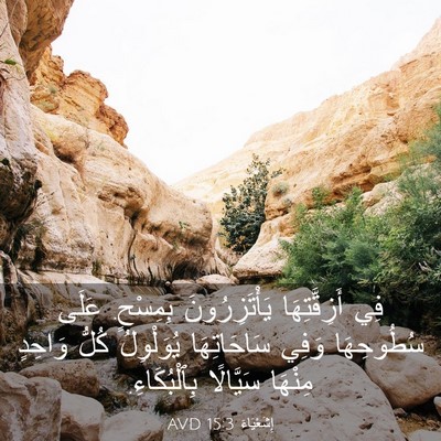 Picture 03 - إِشَعْيَاءَ 15:3 AVD - فِي أَزِقَّتِهَا - Bible Verse Picture