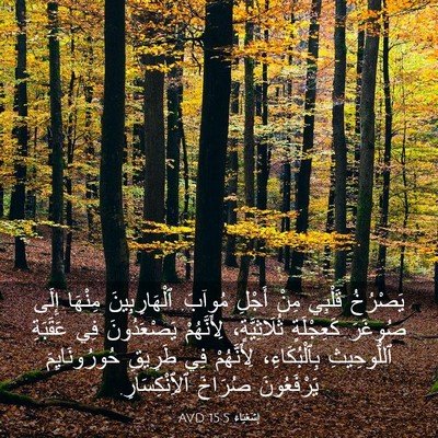 Picture 03 - إِشَعْيَاءَ 15:5 AVD - يَصْرُخُ قَلْبِي مِنْ - Bible Verse Picture