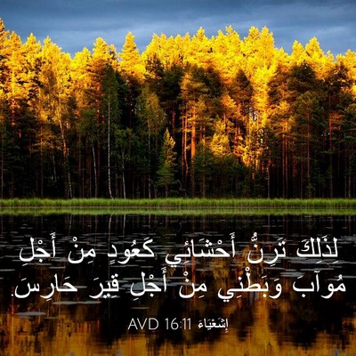 Picture 03 - إِشَعْيَاءَ 16:11 AVD - لِذَلِكَ تَرِنُّ - Bible Verse Picture