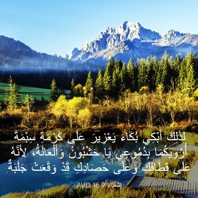 Picture 03 - إِشَعْيَاءَ 16:9 AVD - لِذَلِكَ أَبْكِي بُكَاءَ - Bible Verse Picture