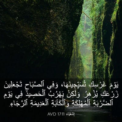 Picture 03 - إِشَعْيَاءَ 17:11 AVD - يَوْمَ غَرْسِكِ - Bible Verse Picture