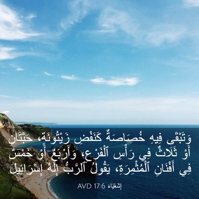 Picture 03 - إِشَعْيَاءَ 17:6 AVD - وَتَبْقَى فِيهِ خُصَاصَةٌ - Bible Verse Picture