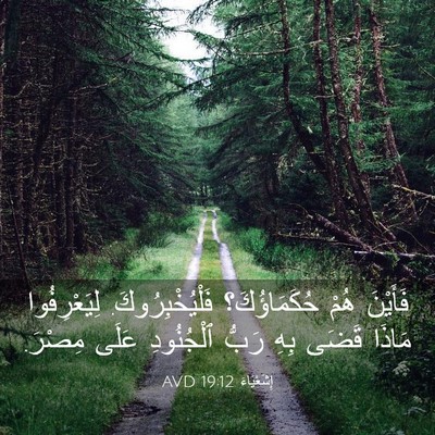 Picture 03 - إِشَعْيَاءَ 19:12 AVD - فَأَيْنَ هُمْ - Bible Verse Picture