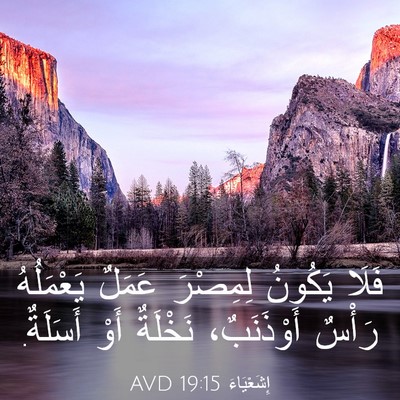 Picture 03 - إِشَعْيَاءَ 19:15 AVD - فَلَا يَكُونُ لِمِصْرَ - Bible Verse Picture