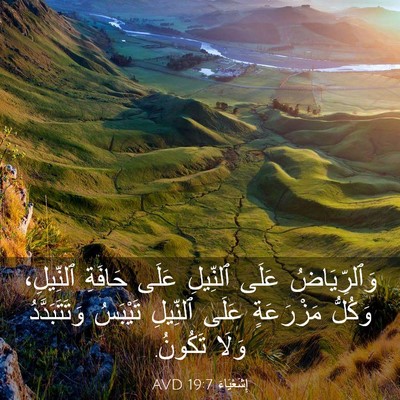 Picture 03 - إِشَعْيَاءَ 19:7 AVD - وَٱلرِّيَاضُ عَلَى - Bible Verse Picture