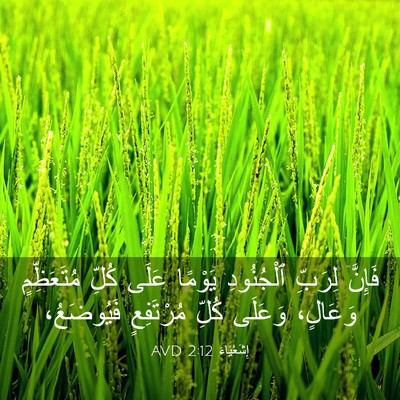 Picture 03 - إِشَعْيَاءَ 2:12 AVD - فَإِنَّ لِرَبِّ - Bible Verse Picture