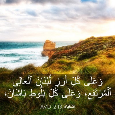 Picture 03 - إِشَعْيَاءَ 2:13 AVD - وَعَلَى كُلِّ أَرْزِ - Bible Verse Picture