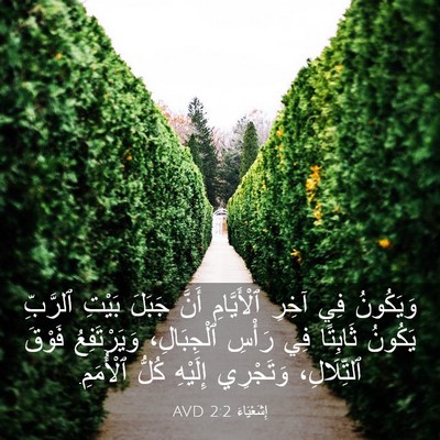 Picture 03 - إِشَعْيَاءَ 2:2 AVD - وَيَكُونُ فِي آخِرِ - Bible Verse Picture