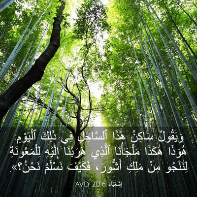 Picture 03 - إِشَعْيَاءَ 20:6 AVD - وَيَقُولُ سَاكِنُ هَذَا - Bible Verse Picture
