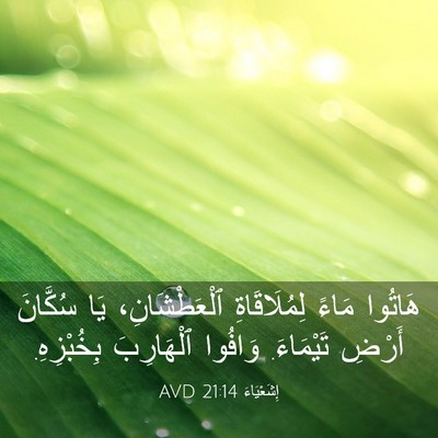 Picture 03 - إِشَعْيَاءَ 21:14 AVD - هَاتُوا مَاءً - Bible Verse Picture