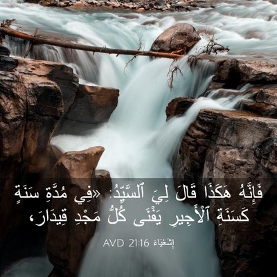 Picture 03 - إِشَعْيَاءَ 21:16 AVD - فَإِنَّهُ هَكَذَا قَالَ - Bible Verse Picture