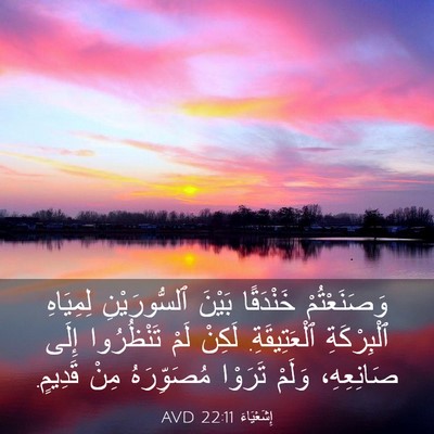 Picture 03 - إِشَعْيَاءَ 22:11 AVD - وَصَنَعْتُمْ خَنْدَقًا - Bible Verse Picture