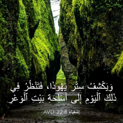 Picture 03 - إِشَعْيَاءَ 22:8 AVD - وَيَكْشِفُ سِتْرَ - Bible Verse Picture