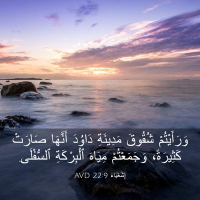 Picture 03 - إِشَعْيَاءَ 22:9 AVD - وَرَأَيْتُمْ شُقُوقَ - Bible Verse Picture