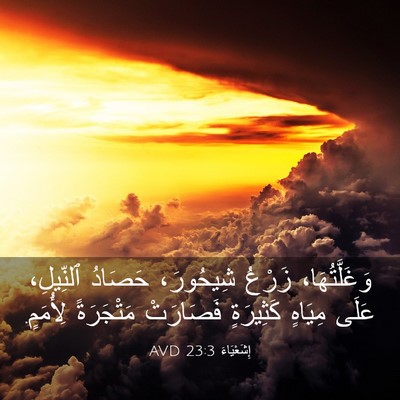 Picture 03 - إِشَعْيَاءَ 23:3 AVD - وَغَلَّتُهَا، زَرْعُ - Bible Verse Picture