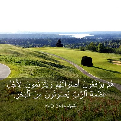 Picture 03 - إِشَعْيَاءَ 24:14 AVD - هُمْ يَرْفَعُونَ - Bible Verse Picture