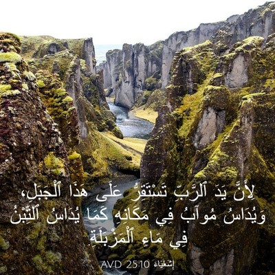 Picture 03 - إِشَعْيَاءَ 25:10 AVD - لِأَنَّ يَدَ ٱلرَّبِّ - Bible Verse Picture