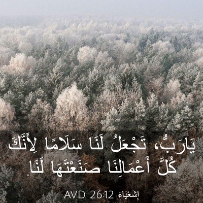 Picture 03 - إِشَعْيَاءَ 26:12 AVD - يَارَبُّ، تَجْعَلُ لَنَا - Bible Verse Picture