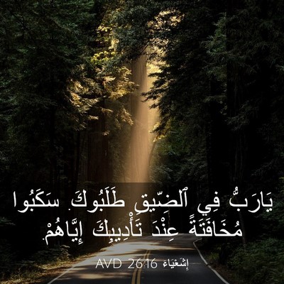 Picture 03 - إِشَعْيَاءَ 26:16 AVD - يَارَبُّ فِي ٱلضِّيقِ - Bible Verse Picture
